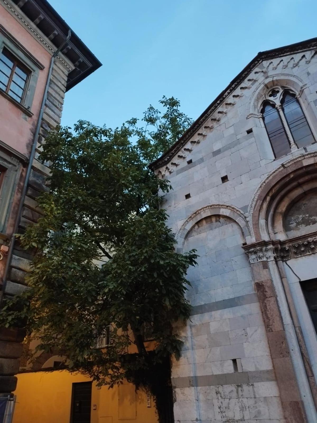 The Tuscanian Hotel Lucca Bagian luar foto